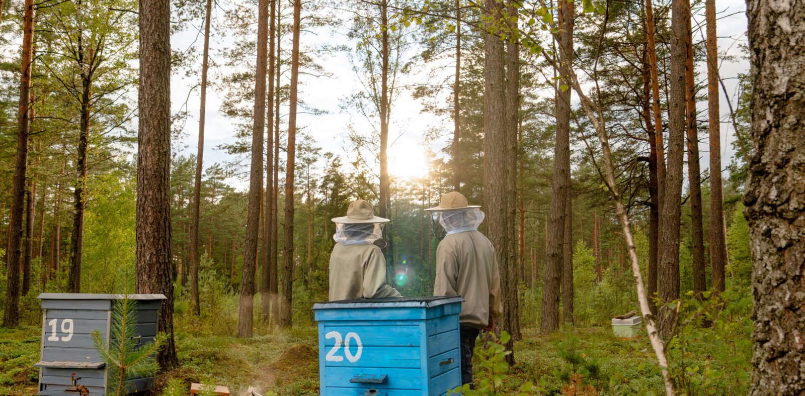 Perfect Match for<br/> Elegant Impression