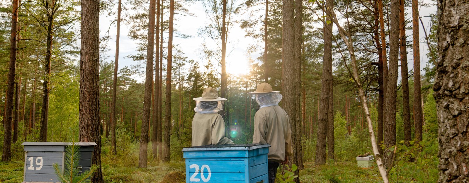 Perfect Match for<br/> Elegant Impression